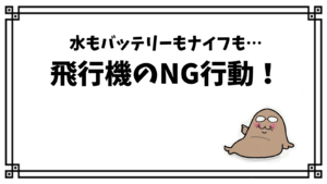 飛行機のNG行動!水もバッテリーもナイフも…